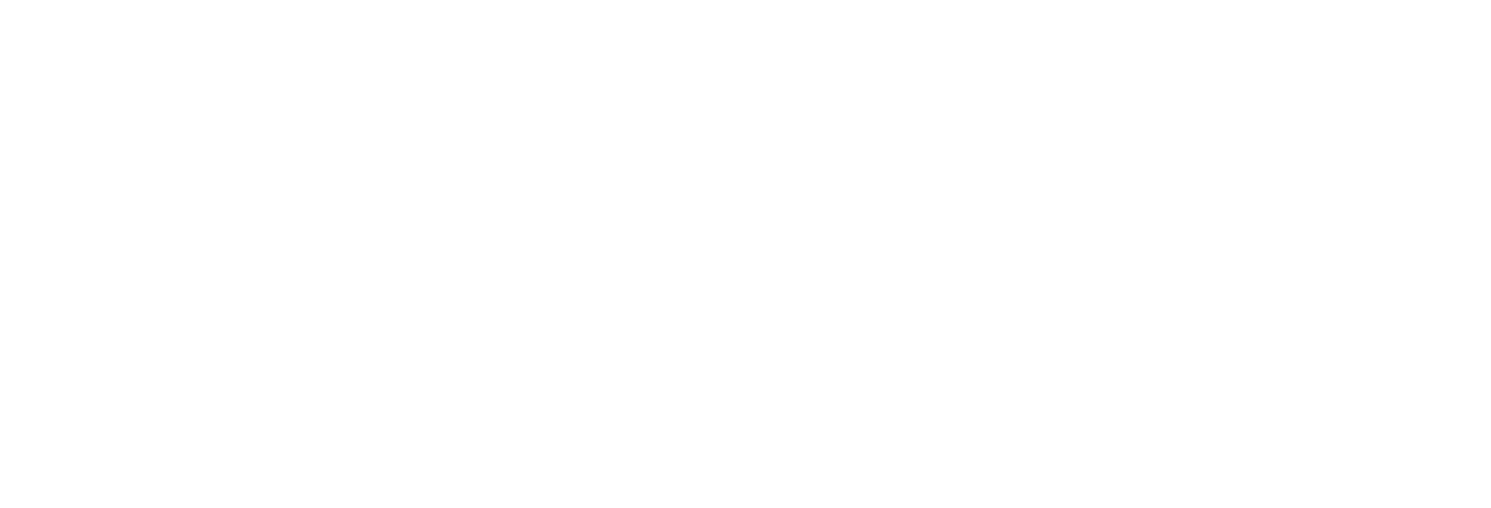 Missing Firefly Music Festival logo