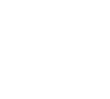 Missing Rock En Seine logo