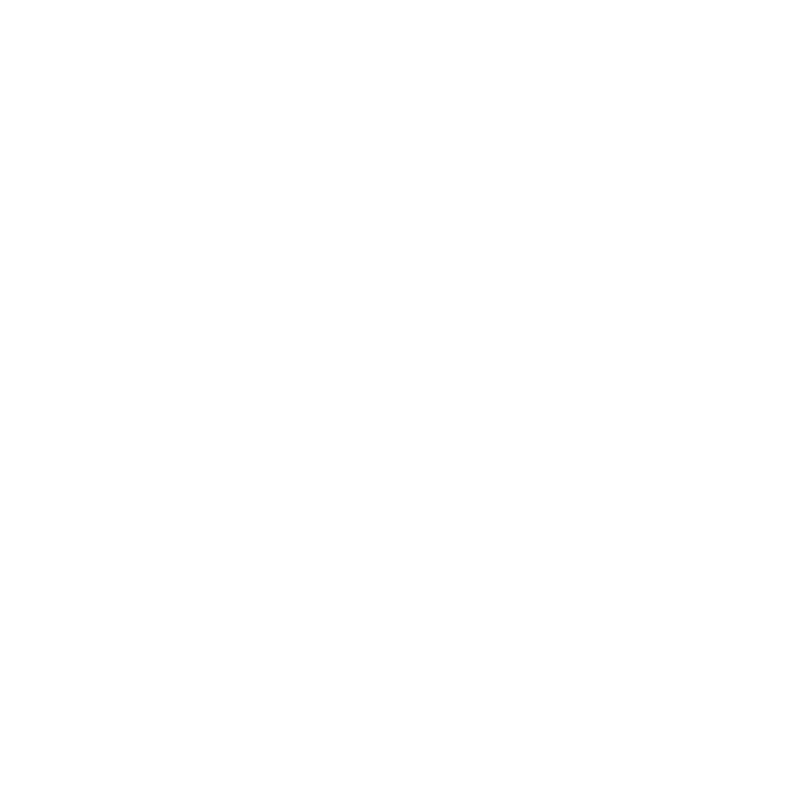 THE NORVA Logo